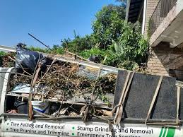 Professional Junk Removal  in Banner Elk, NC